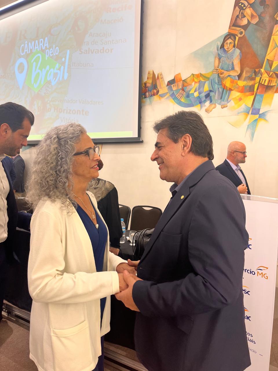 Kátia Coimbra apresenta proposta do MEI Atípico ao Deputado Domingos Sávio durante o evento Câmara pelo Brasil