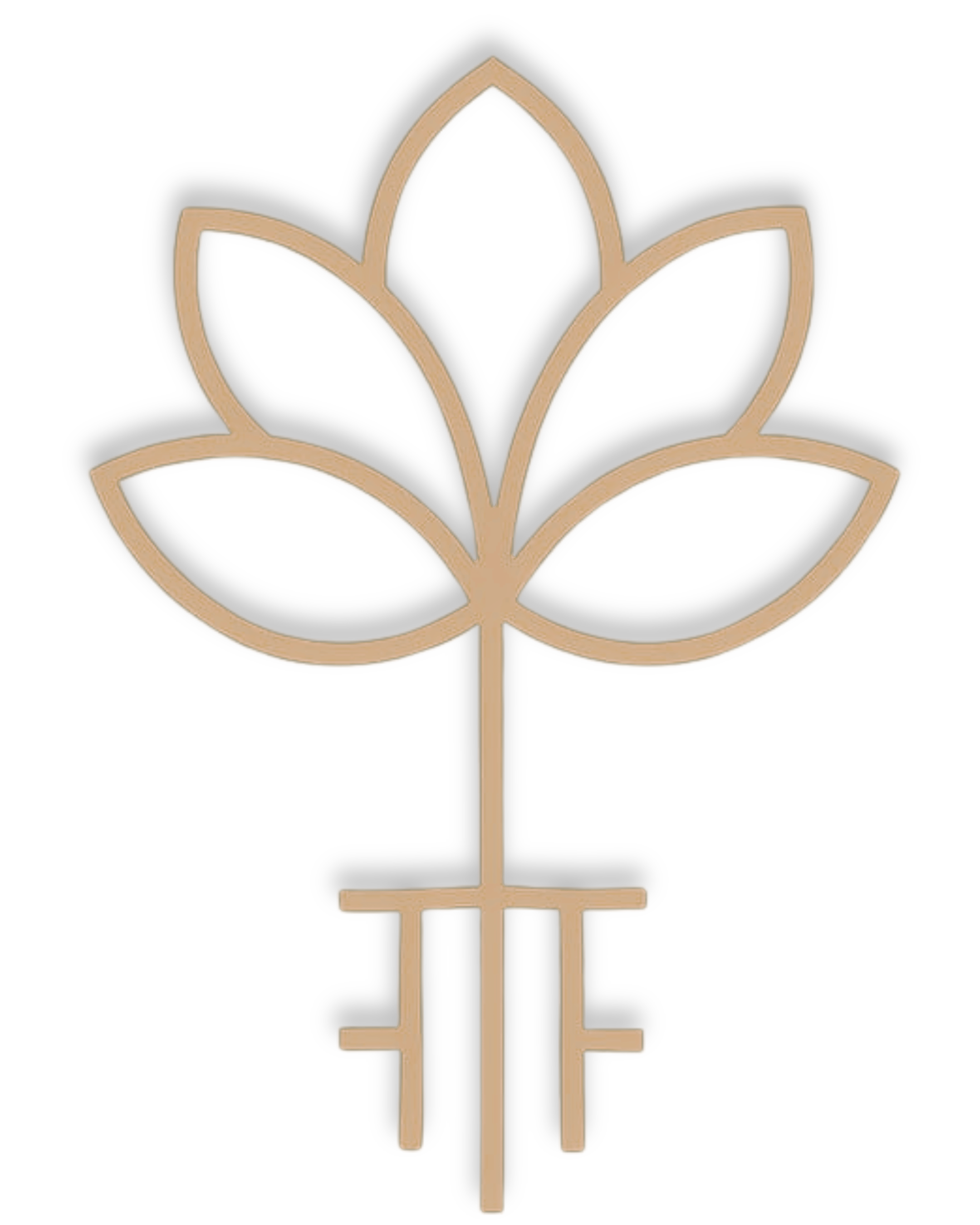 Instituto Flores de Aço